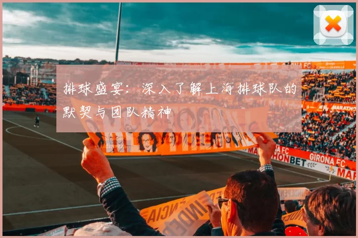 排球盛宴：深入了解上海排球队的默契与团队精神