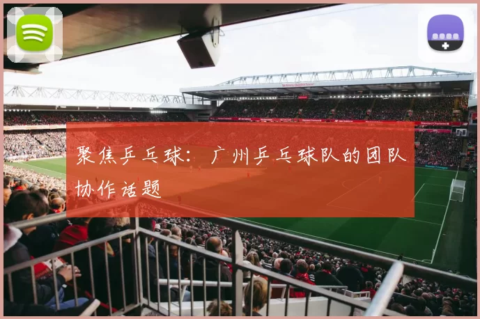 聚焦乒乓球：广州乒乓球队的团队协作话题