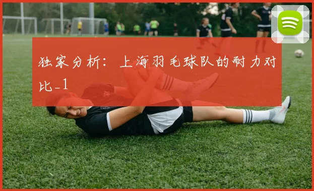 独家分析：上海羽毛球队的耐力对比_1