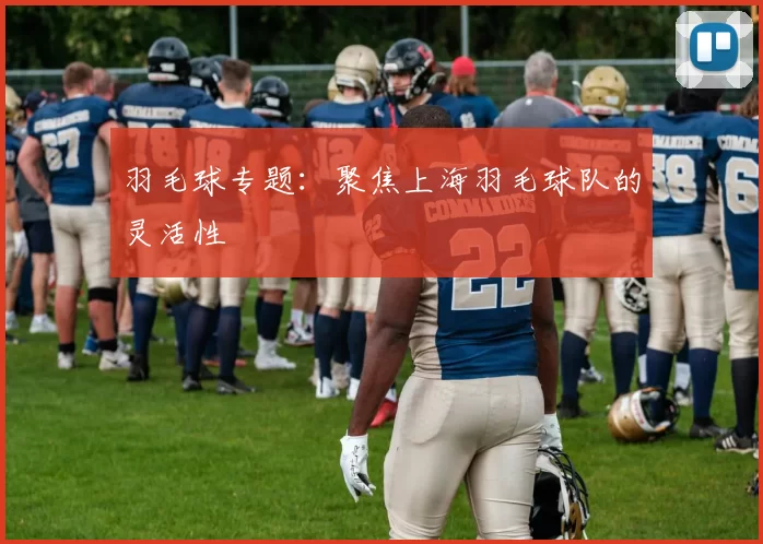 羽毛球专题：聚焦上海羽毛球队的灵活性