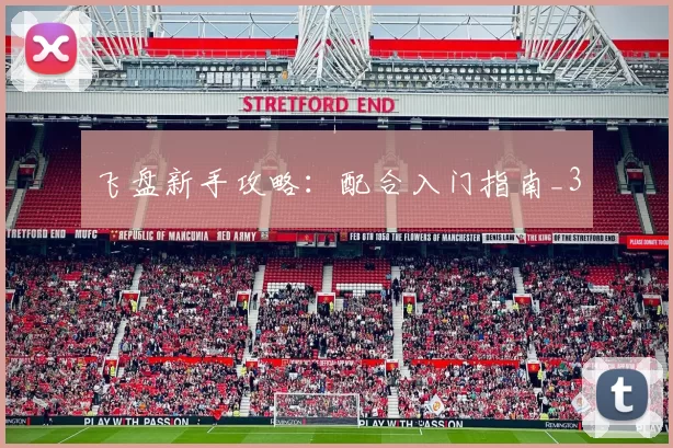 飞盘新手攻略：配合入门指南_3